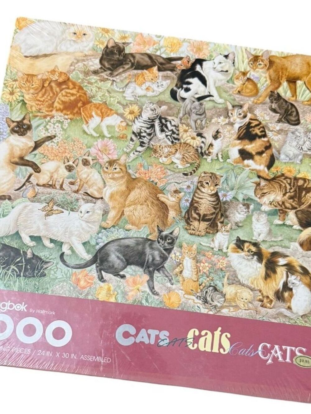NIB Springbok 1000 Piece Jigsaw Puzzle Cats Cats Cats Cats